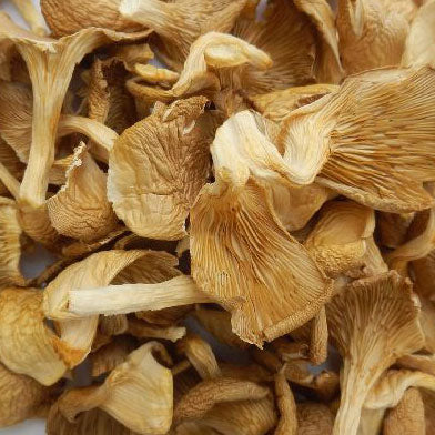 Oyster Mushrooms - Dried 1oz